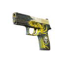 P250 | Wingshot (Battle-Scarred)