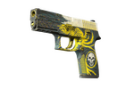 P250 | Wingshot (Battle-Scarred)