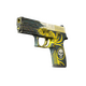 P250 | Wingshot (Battle-Scarred)