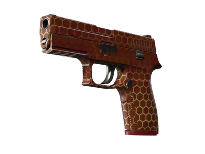 StatTrak™ P250 | Улей