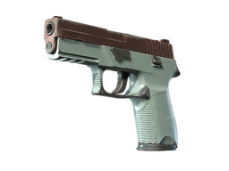 P250 | Copper Oxide (Battle-Scarred)