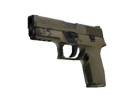 P250 | Sand Dune (Well-Worn)