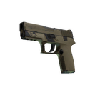 P250 | Sand Dune (Field-Tested)