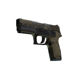 free csgo skin P250 | Sand Dune (Battle-Scarred)