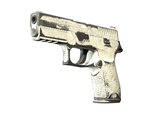 P250 | Whiteout (Battle-Scarred)