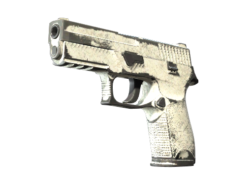 P250 | Whiteout (Well-Worn)