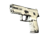 P250 | Whiteout (Battle-Scarred)