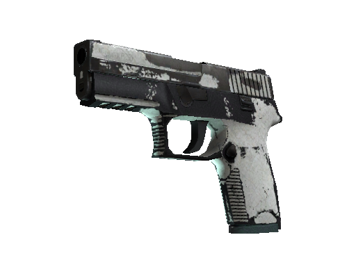 P250 | Whiteout (Battle-Scarred)