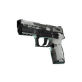 P250 | Whiteout (Battle-Scarred)