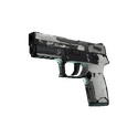 P250 | Снежная мгла