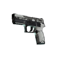 P250 | Whiteout (Battle-Scarred)
