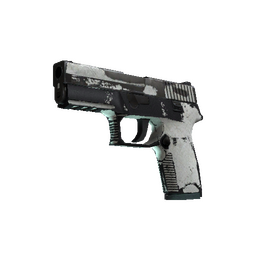 P250 | Whiteout (Battle-Scarred)