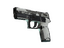 P250 | Whiteout