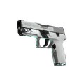P250 | Whiteout (Field-Tested)