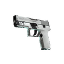 P250 | Whiteout (Well-Worn)