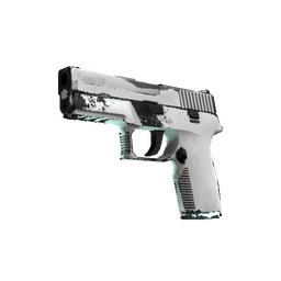P250 | Whiteout (Field-Tested)