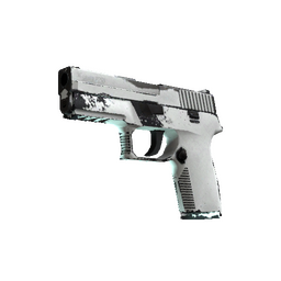 free csgo skin P250 | Whiteout (Field-Tested)