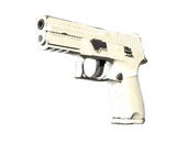 P250 | Whiteout (Well-Worn)