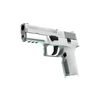 P250 | Whiteout <br>(Factory New)