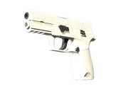 P250 | Whiteout (Minimal Wear)