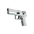 P250 | Whiteout (Minimal Wear)
