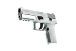 P250 | Whiteout (Factory New)