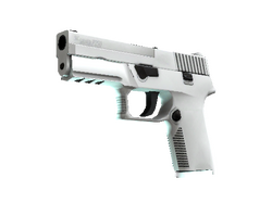 P250 | Whiteout