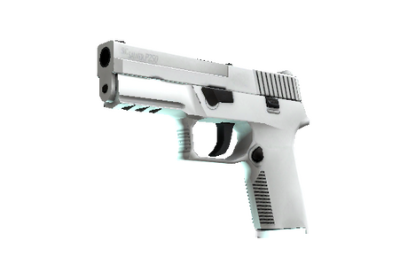 P250 | Whiteout (Minimal Wear)