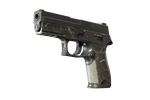 P250 | Small Game (Battle-Scarred)