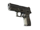 P250 | Small Game (Battle-Scarred)