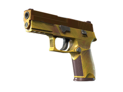 P250 | Sedimentary