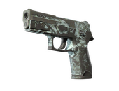 P250 | Mint Kimono (Battle-Scarred)