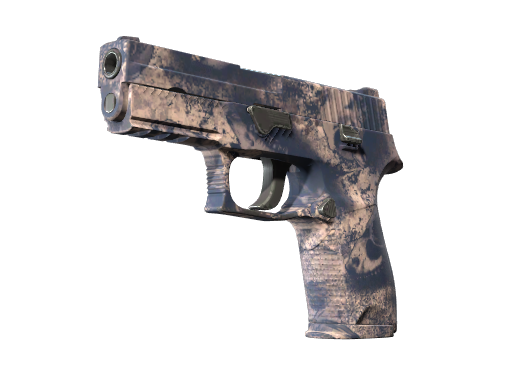 P250 | Безводье (Немного поношенное)