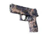 P250 | Безводье (Немного поношенное)