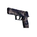 P250 | Drought (Factory New)
