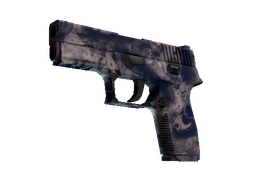 P250 | Drought (Well-Worn)