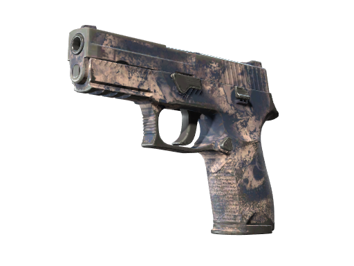 P250 | Безводье (Поношенное)