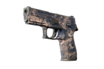 P250 | Drought (Well-Worn)