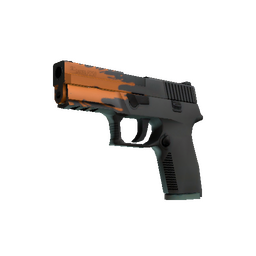 P250 | Splash (Minimal Wear)