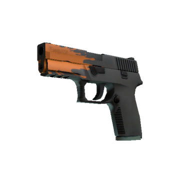 StatTrak™ P250 | Splash