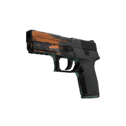 StatTrak™ P250 | Splash (Field-Tested)