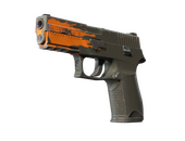 StatTrak™ P250 | Splash (Field-Tested)