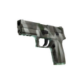 P250 | Bone Mask (Minimal Wear)