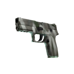 free cs2 skins P250 | Bone Mask (Minimal Wear)