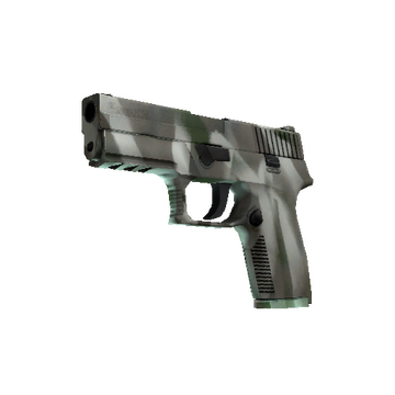 P250 | Bone Mask (Minimal Wear)