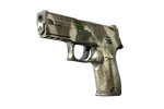 P250 | Bone Mask (Field-Tested)