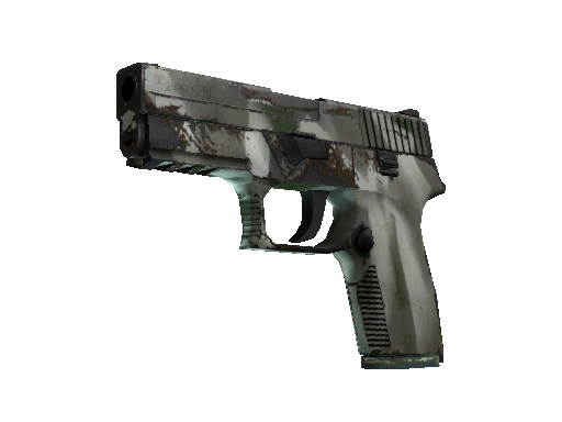 P250 | Bone Mask (Well-Worn)