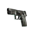 P250 | Bone Mask (Field-Tested)