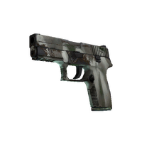 P250 | Bone Mask (Field-Tested)