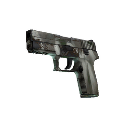 free cs2 skins P250 | Bone Mask (Well-Worn)